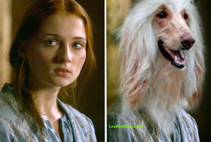 Game of Thrones characters as dogs