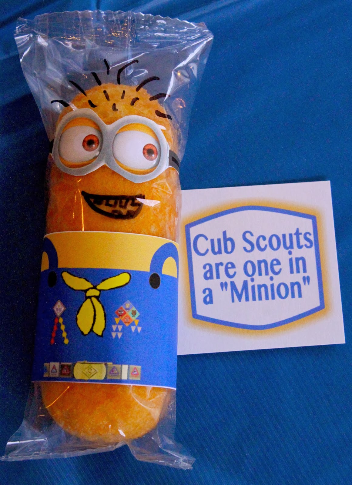 Akela's Council Cub Scout Leader Training: 