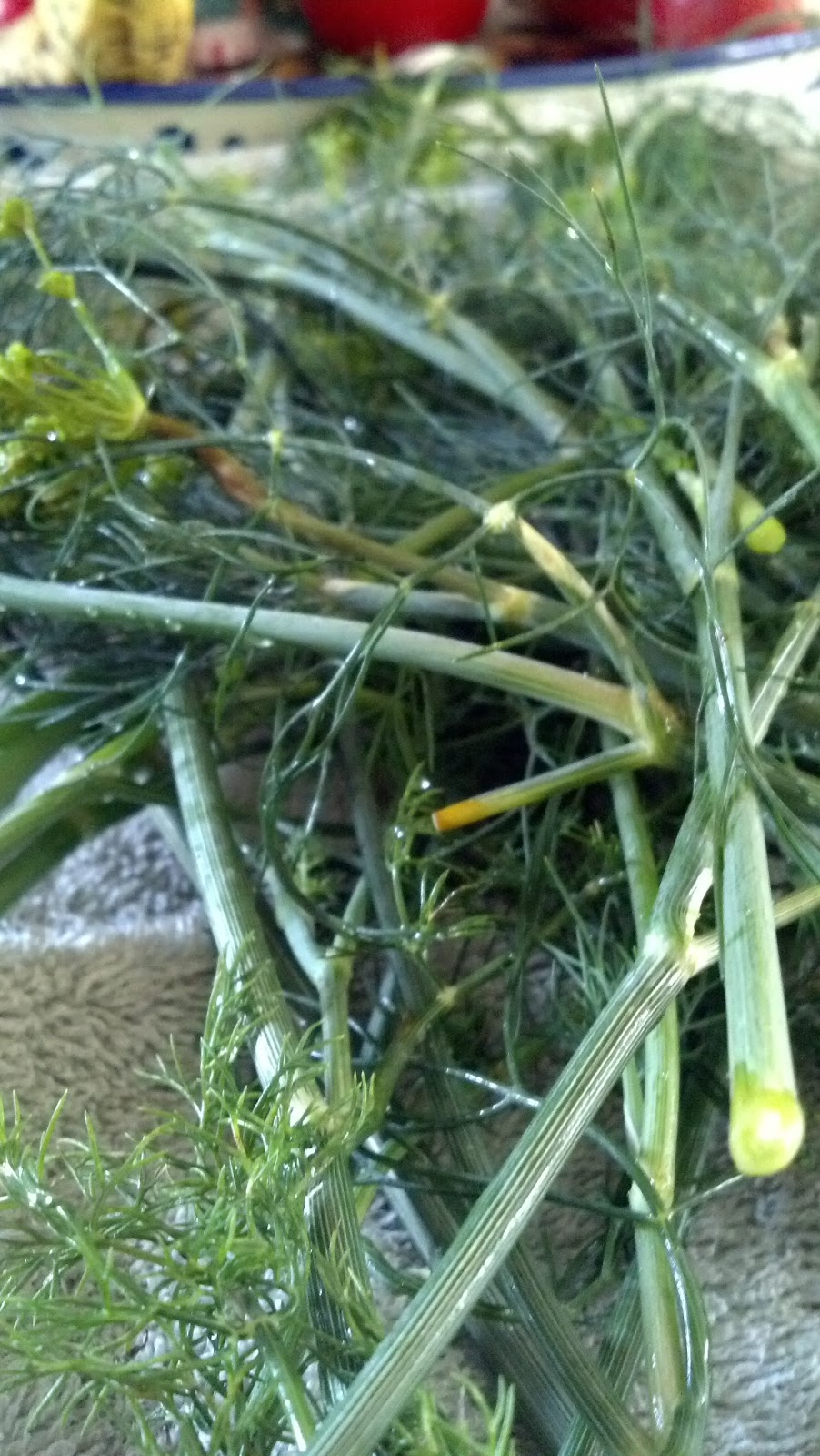 Pressure Cooking and Canning Easy Canning Making Dill Pickles