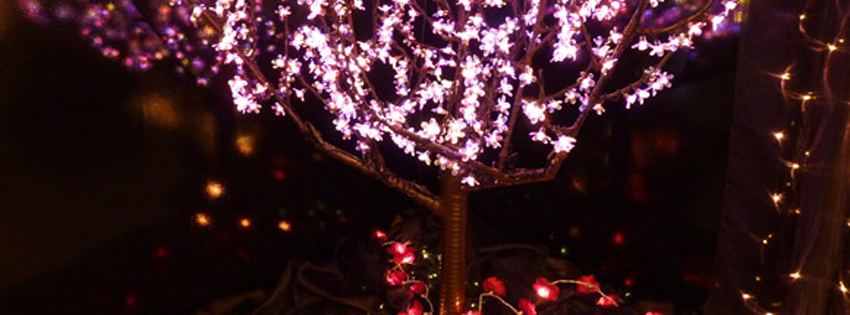 ... Studio, New York, NY: Facebook Cover, Header - Fairy Christmas Lights