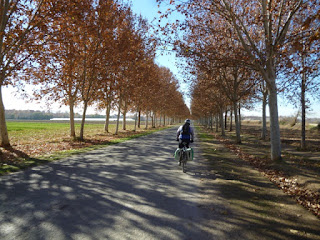 Entrando en Aranjuez