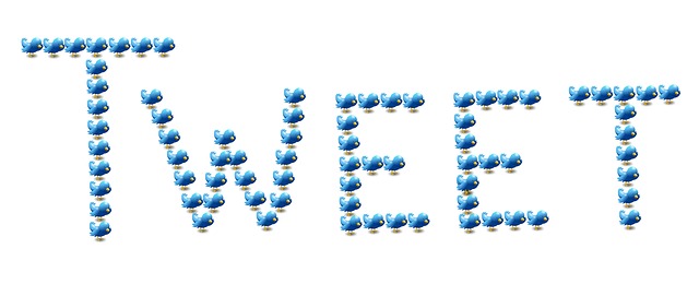 Cara Memasang Tombol Tweet di Bawah Posting