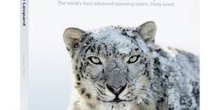 Leopard Leopard