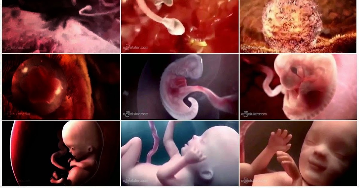 Tikablog Modul Tugas Manusia Sebagai Hamba Allah Dan Khalifah Di Bumi