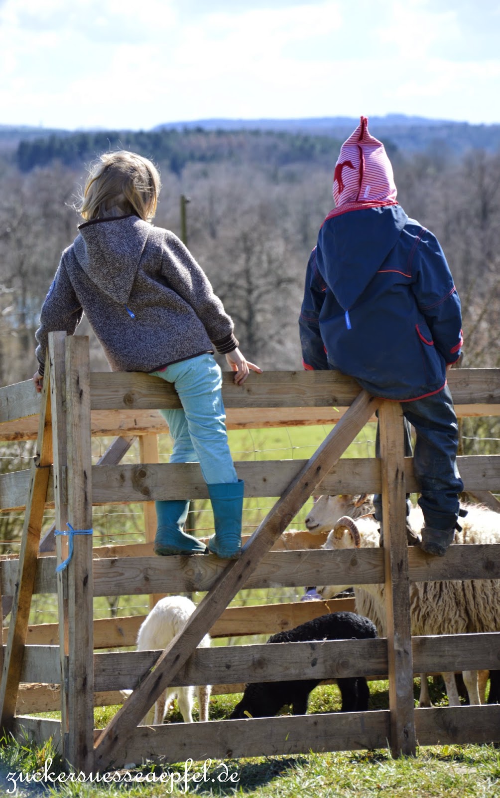 Schwein Gehabt Alles Und Anderes