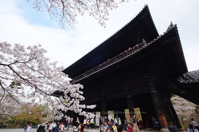 Nanzenji Temple Kyoto Sakura