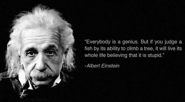 Sandaru Weerasooriya: Truth of stupidity by Einstein