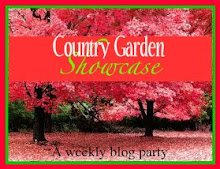 Country Garden Showcase