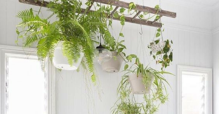 Cómo decorar el techo | Decoración Patri-Blanco