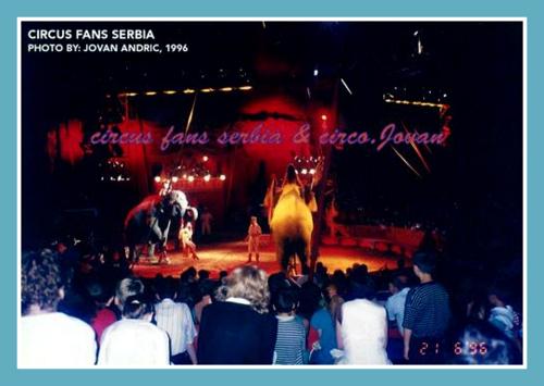 cirkus medrano u beogradu cirkus medrano u beogradu