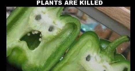 In Nuce: Satire: Innocent plants die daily