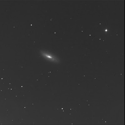 RASC Finest galaxy NGC 5005 in luminance