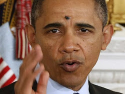 Wajah Obama Di Hinggapi Lalat