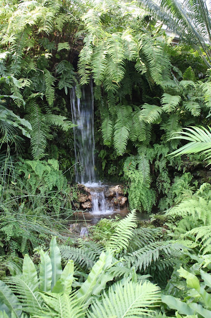 Waterfall in the Fern Room of the Garfield Park Conservatory of Chicago