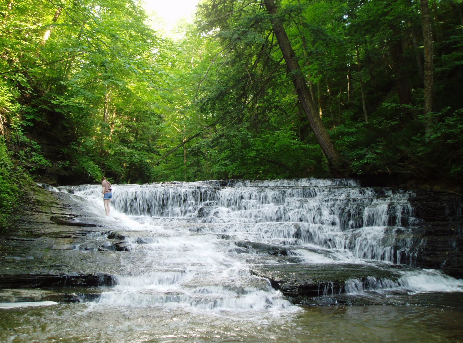 . Angel Falls Beaver Meadow Creek Java, Wyoming County
