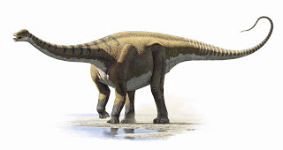 Demandasaurus