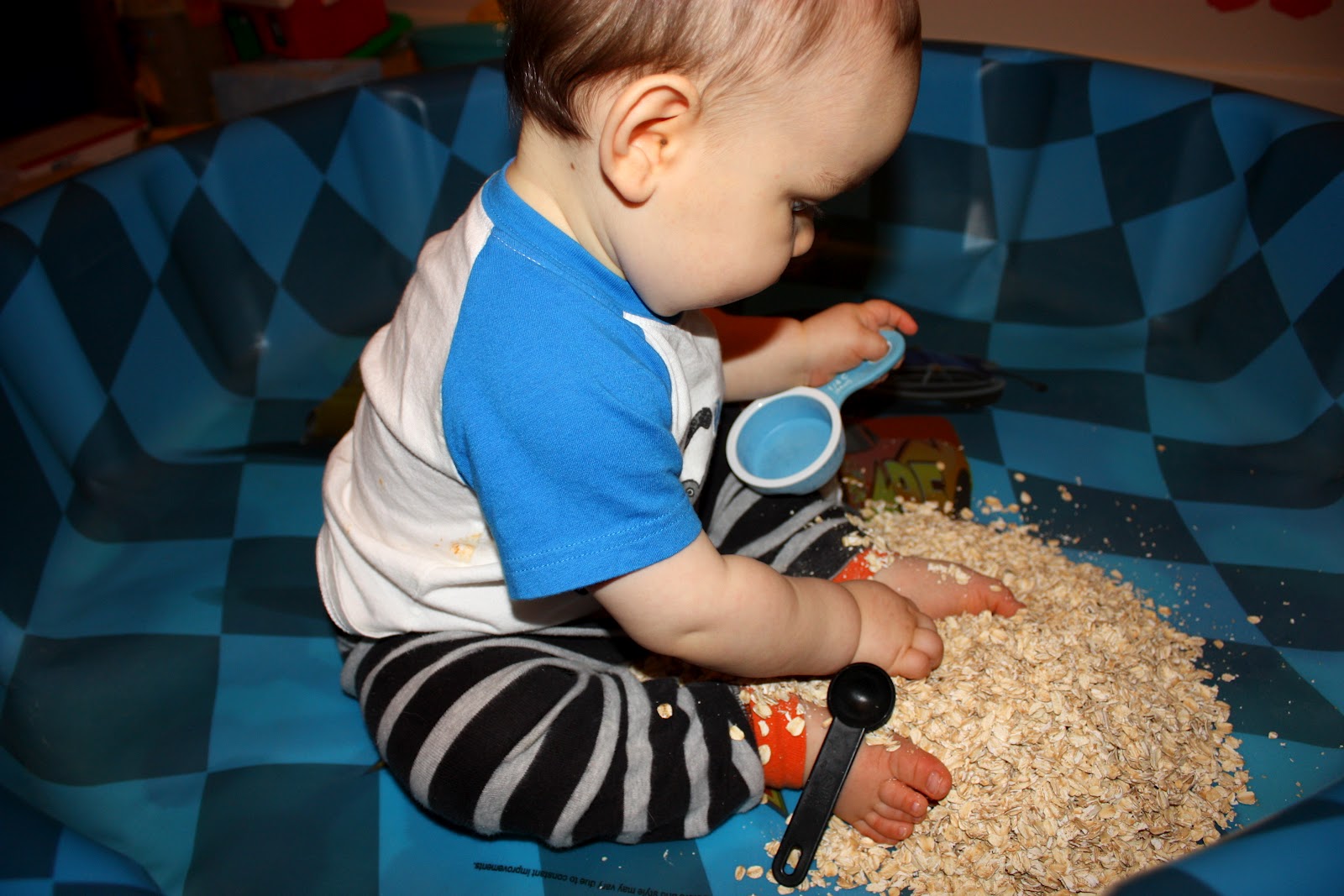 Dirt & Dinosaurs Oatmeal