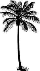 palm silhouette tree trees vector drawing clip clipart silhouettes graphics palms graphic cliparts library leaves telecanter receding rules linked sidebar
