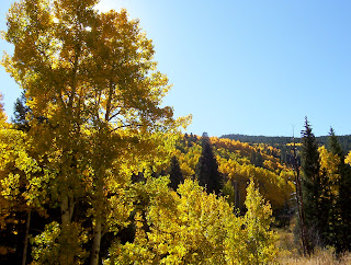 Colorado Fall Foliage Drives