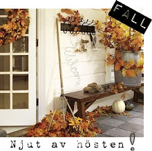 Fall