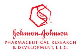 mega safitri: studi kasus dalam perusahaan Johnson & Johnson's