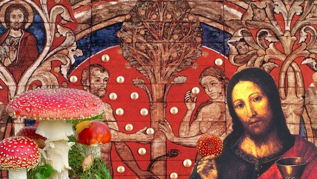 fruit defendu dans la bible fruit defendu dans la bible