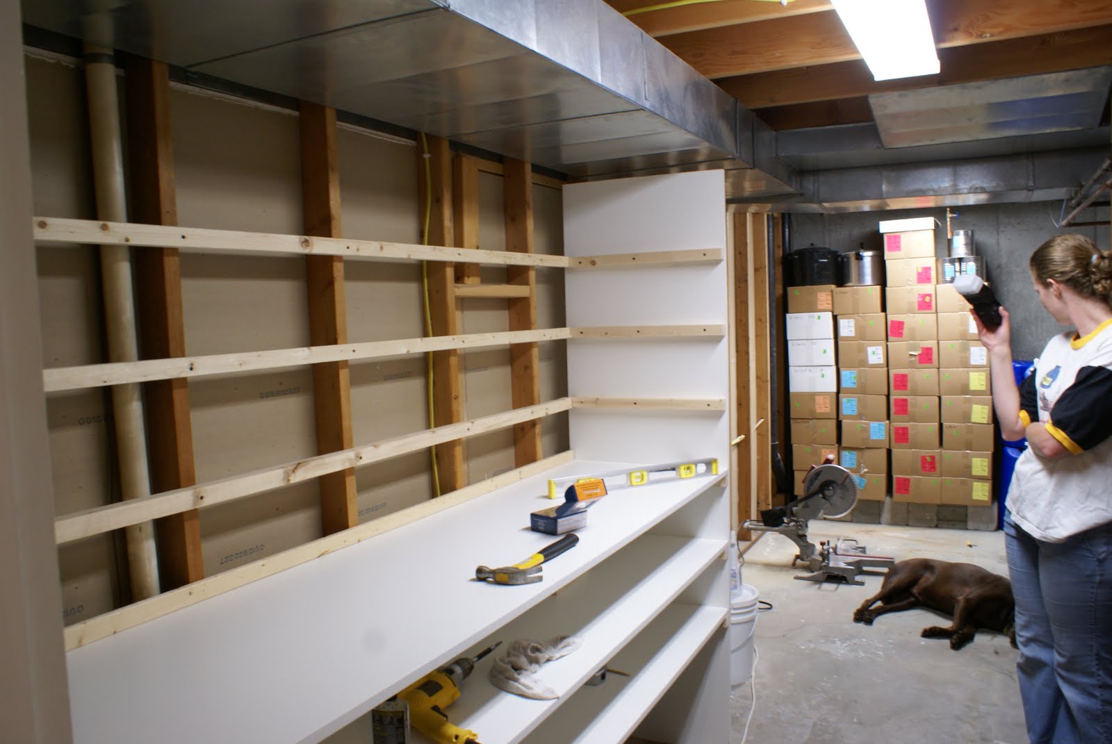 valdixon Storage Room Shelf Project