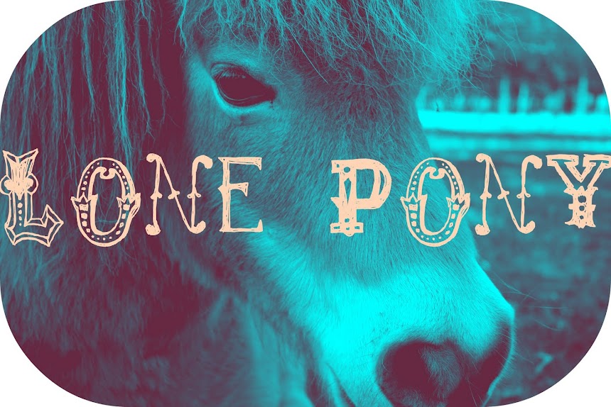 Lone Pony