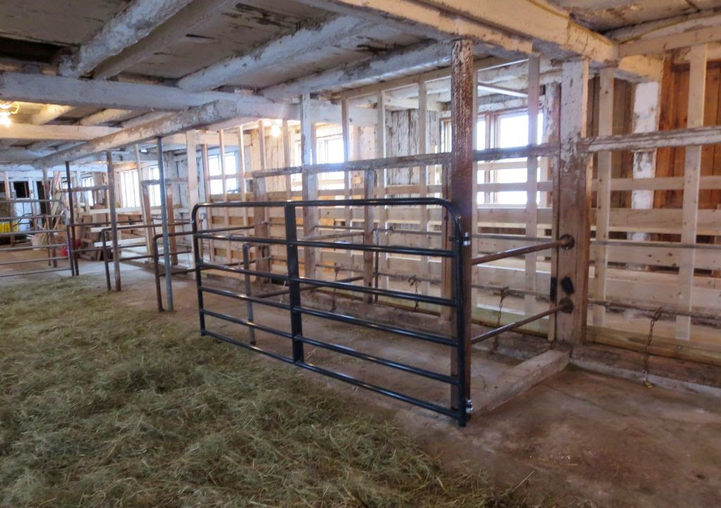 cattle chute squeeze building sweep cleaned taking done everything