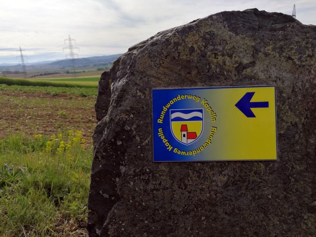 Natur Im Garten Museum Niederosterreich