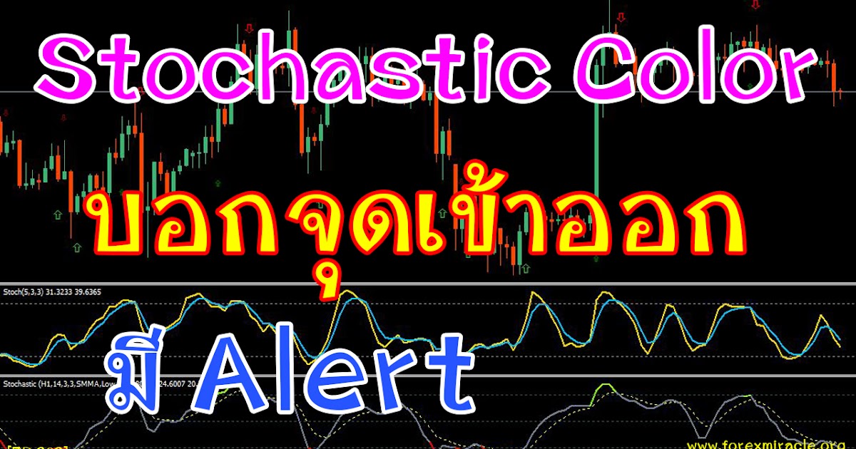 Copytrade forex