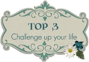 Challenge Up Your Life