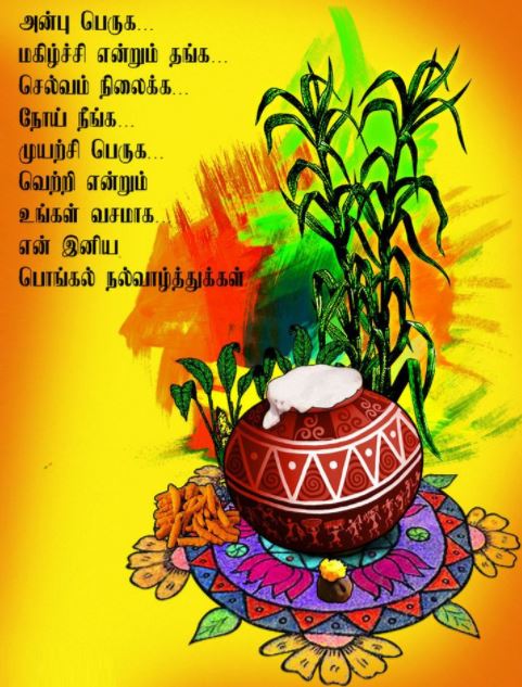 Pongal Wallpapers