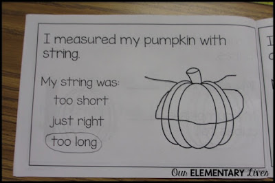 measuring the pumpkin with string