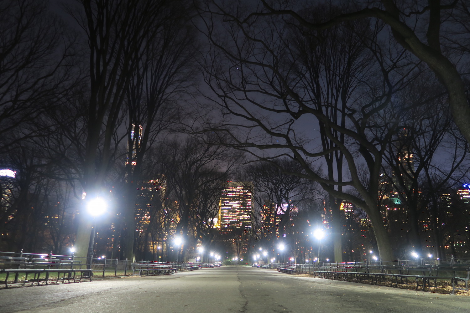 everything brisa Central Park at Night
