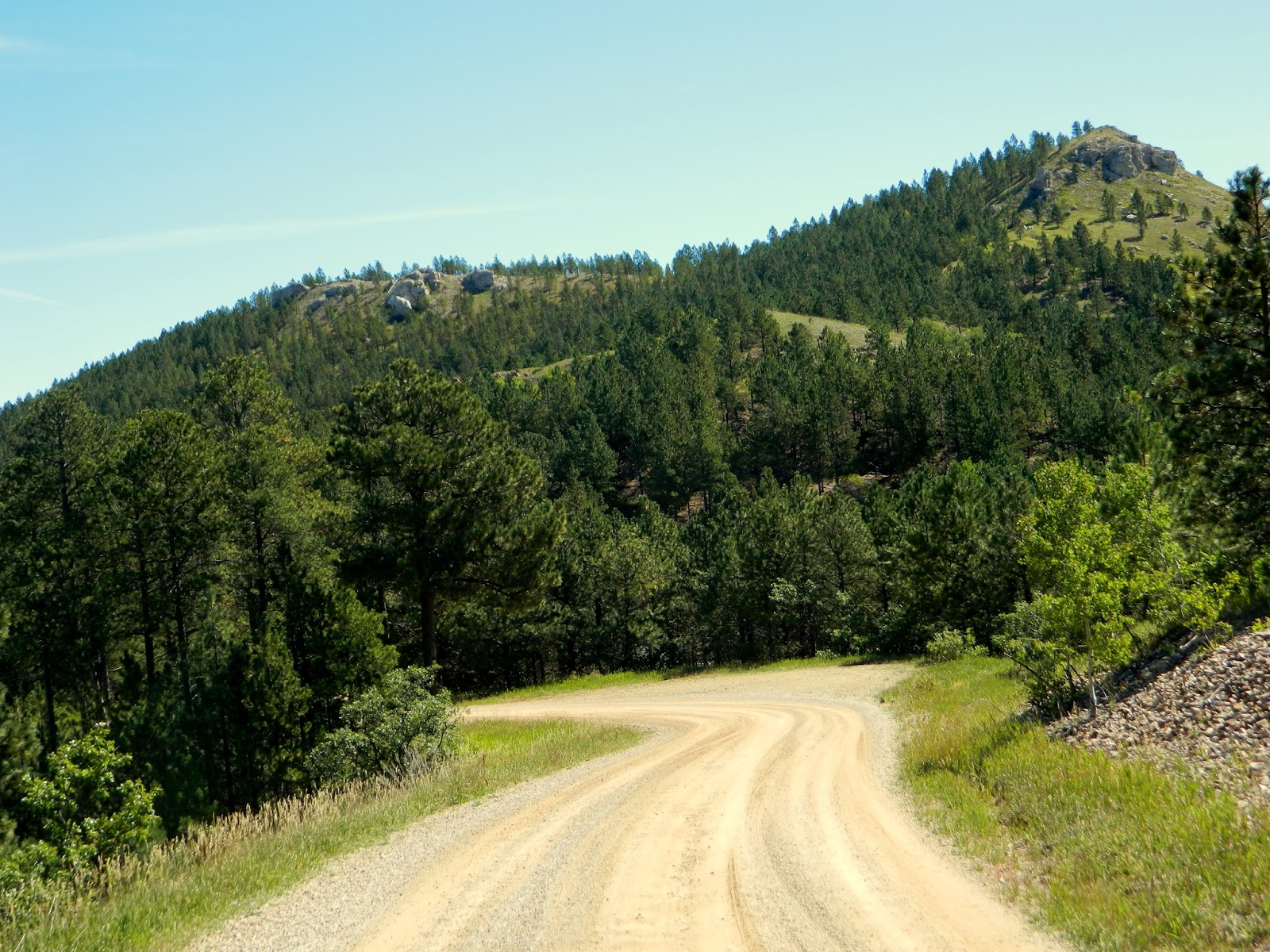 CSMS GEOLOGY POST SILVER FROM THE BLACK HILLS, SOUTH DAKOTA