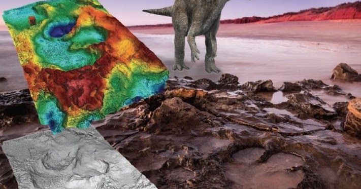 Full article: The Dinosaurian Ichnofauna of the Lower Cretaceous  (Valanginian–Barremian) Broome Sandstone of the Walmadany Area (James Price  Point), Dampier Peninsula, Western Australia