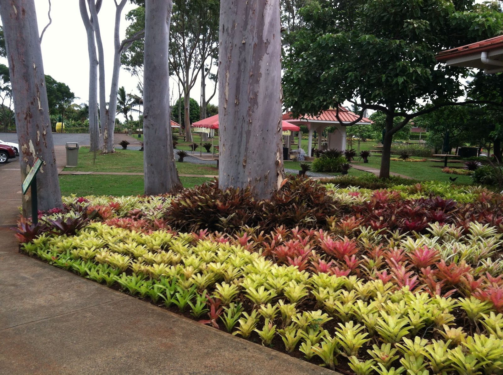 Crystal Memmott S Blog Gallery