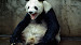 array resizeImage operator demo 75px
