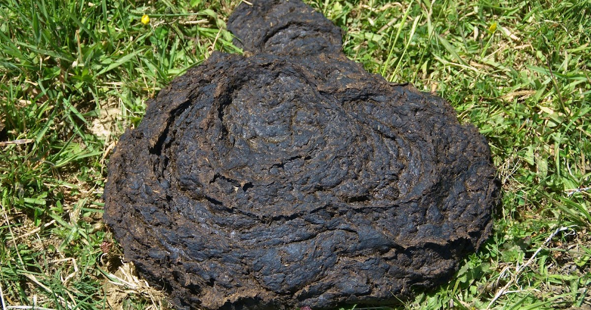 French Vocabulary Illustrated bouse