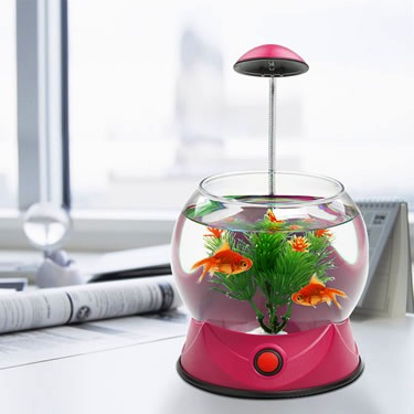 small glass betta aquariums fish tank with light