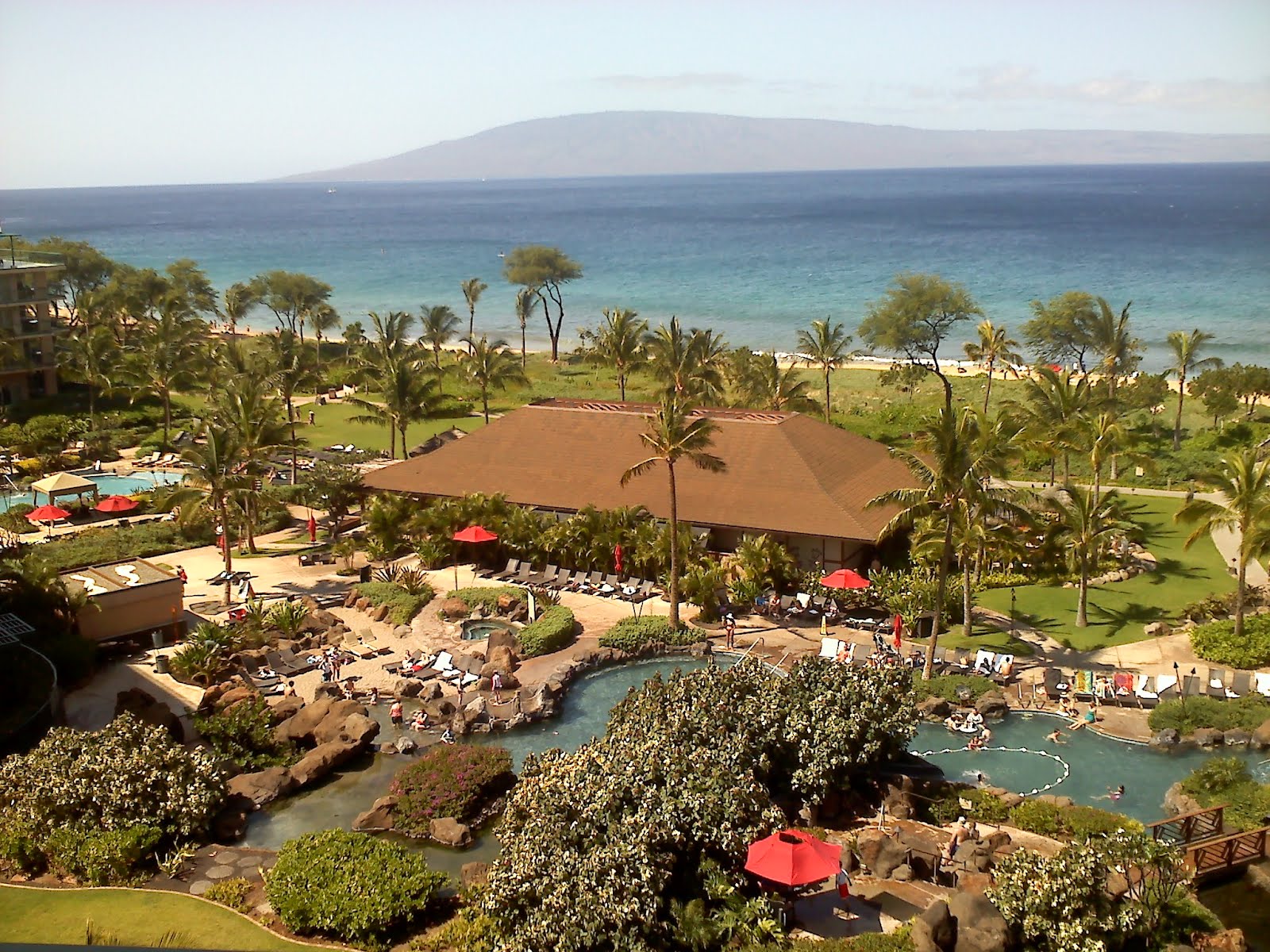 Donna's "Real" Estate Corner on Maui Honua Kai Resort on Maui