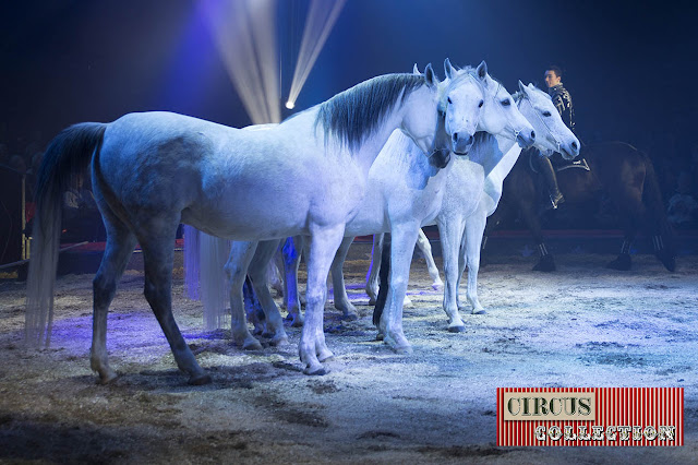 Spectacle, chevaux Yvan Fréderic Knie