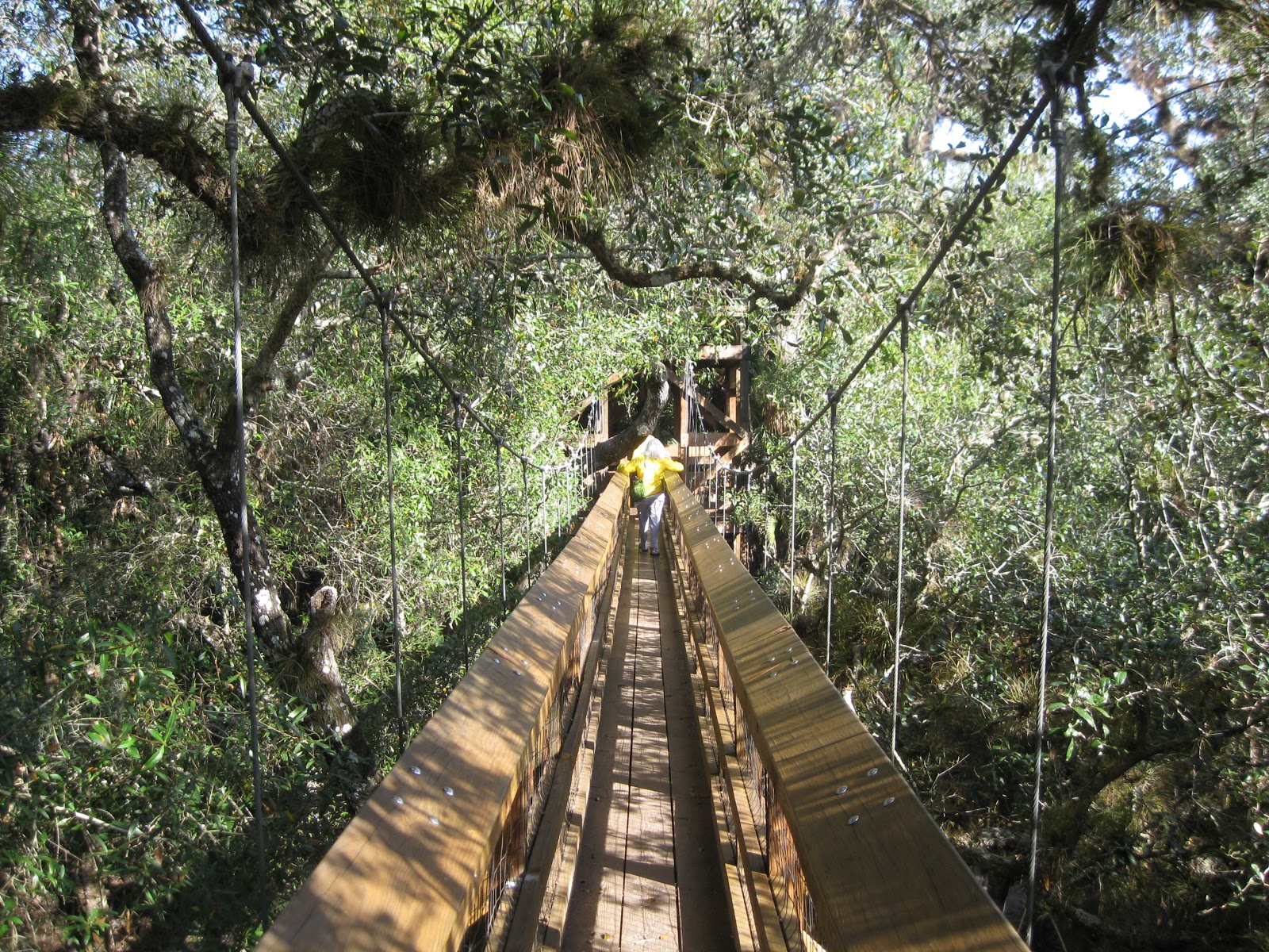 myakka state park bike trails