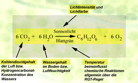 Biologie 1: Februar 2014