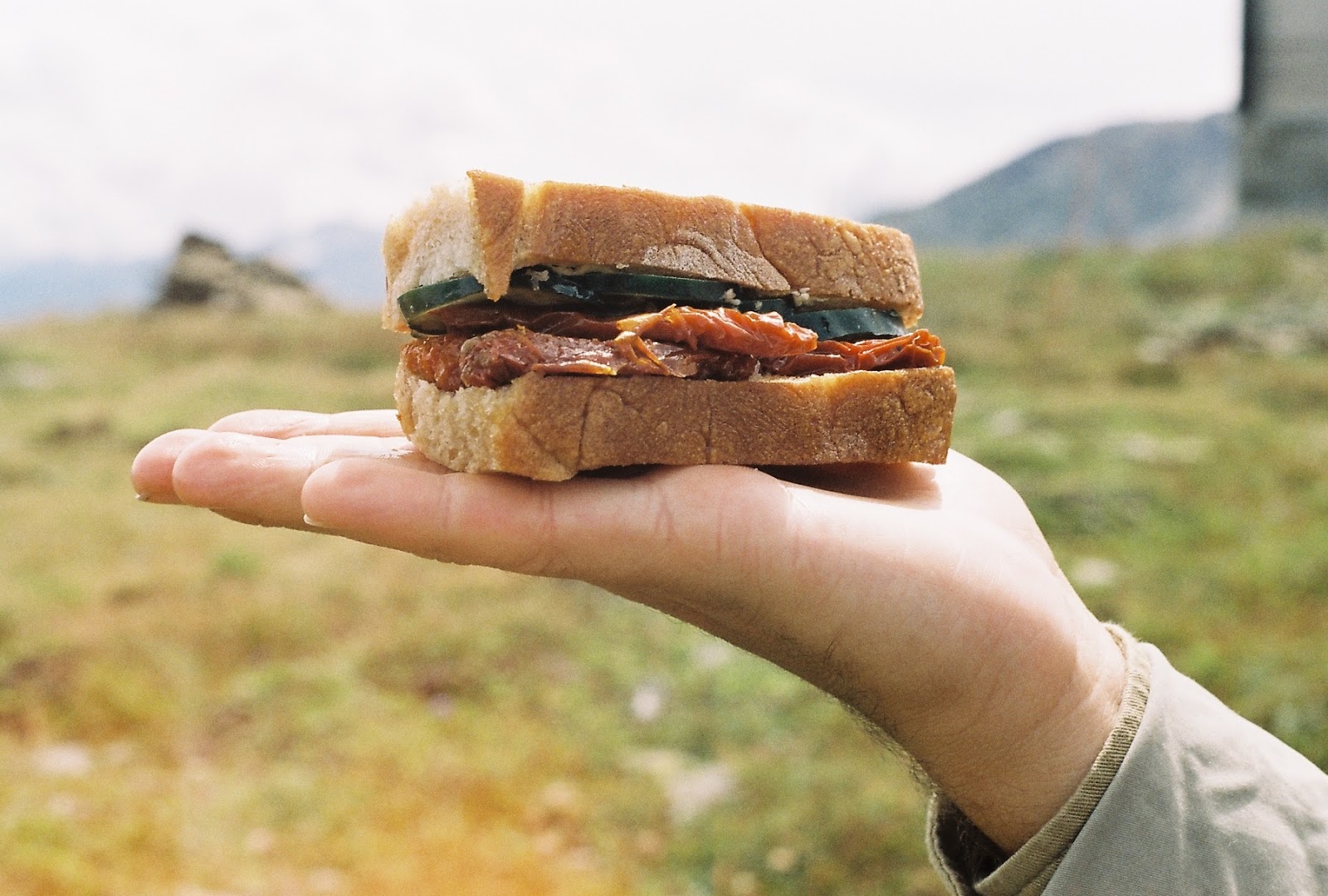 the A Sandwich that Travels Well