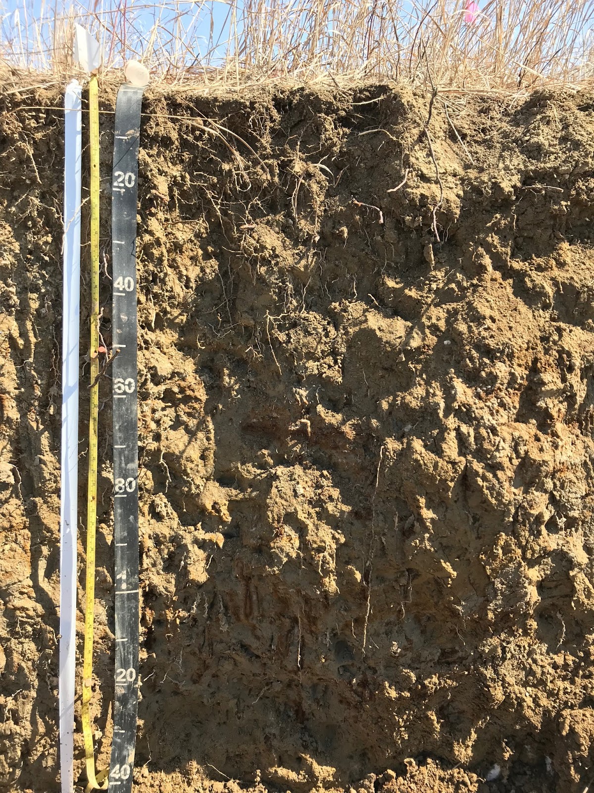 University of Minnesota Soil Judging Team April 2018