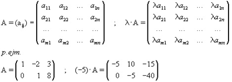 HERRAMIENTAS PARA UTILIZAR EL ALGEBRA LINEAL
