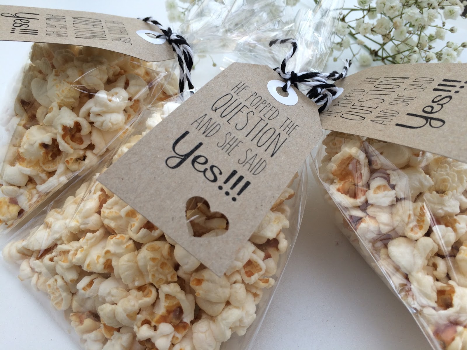 profound feline The Wedding Series D.I.Y Engagement Party Popcorn Favours