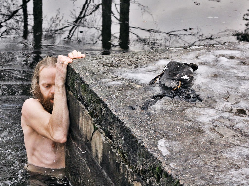 And%2Bjumped%2Binto%2Bthe%2Bicy%2Bwaters